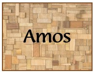 Amos: The Lion Roars from Zion